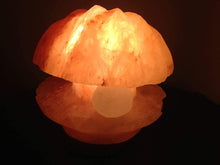 Pearl Sea Shell Shape Himalayan Salt Lamp/Hand Carved
