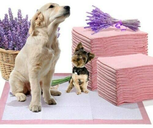 50Pack Puppy Training Pads / 60 x 45cms (12 Units)