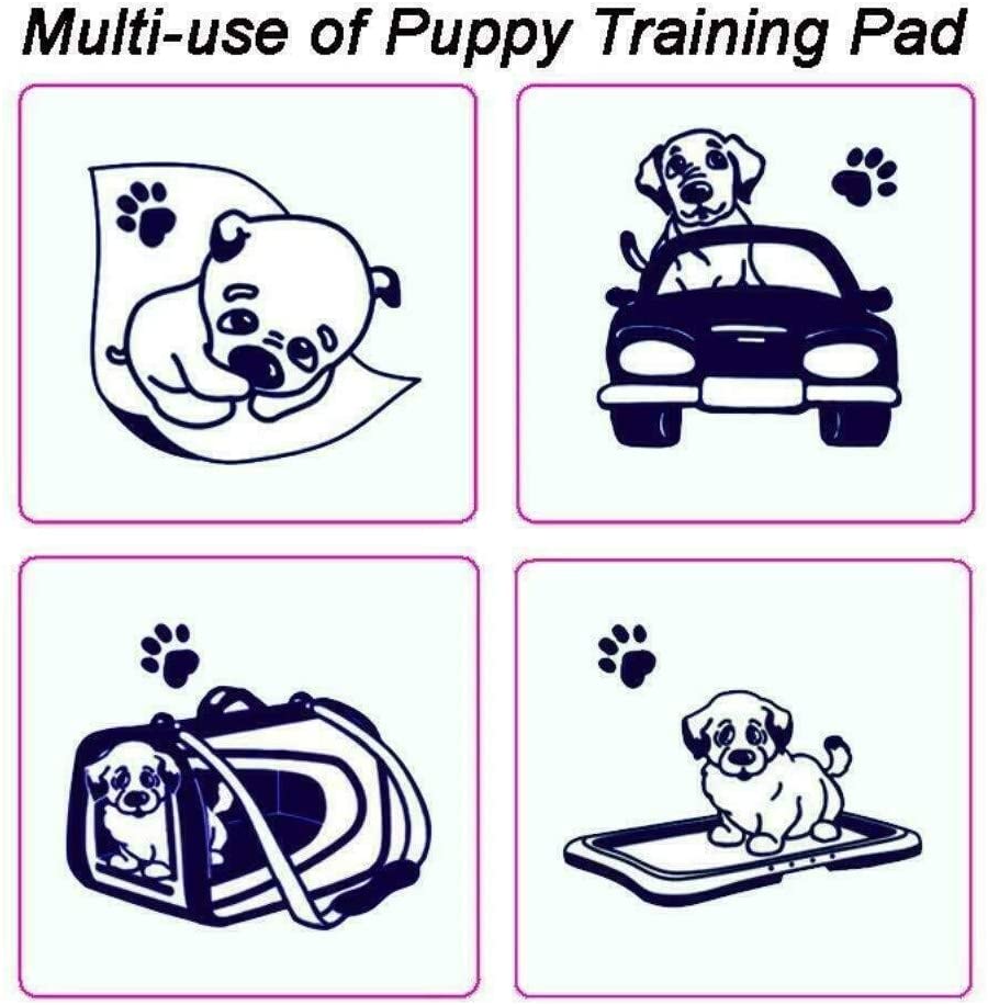 50 Pack Puppy Training Pads / 60 x 45cms (12 Units)