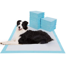 Pet Puppy Large Training Wee Pads/Mats Ultra Absorbent Anti Slip 56 x 56 cms 50 Pack Puppy Pads