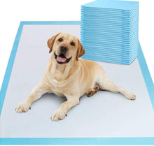 50 Pack Puppy Pads 56 x 56 cms ( 12 Units)