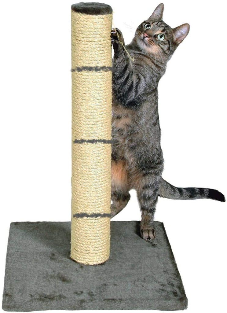 Square Cat Scratch Post 40cm (12 Units )
