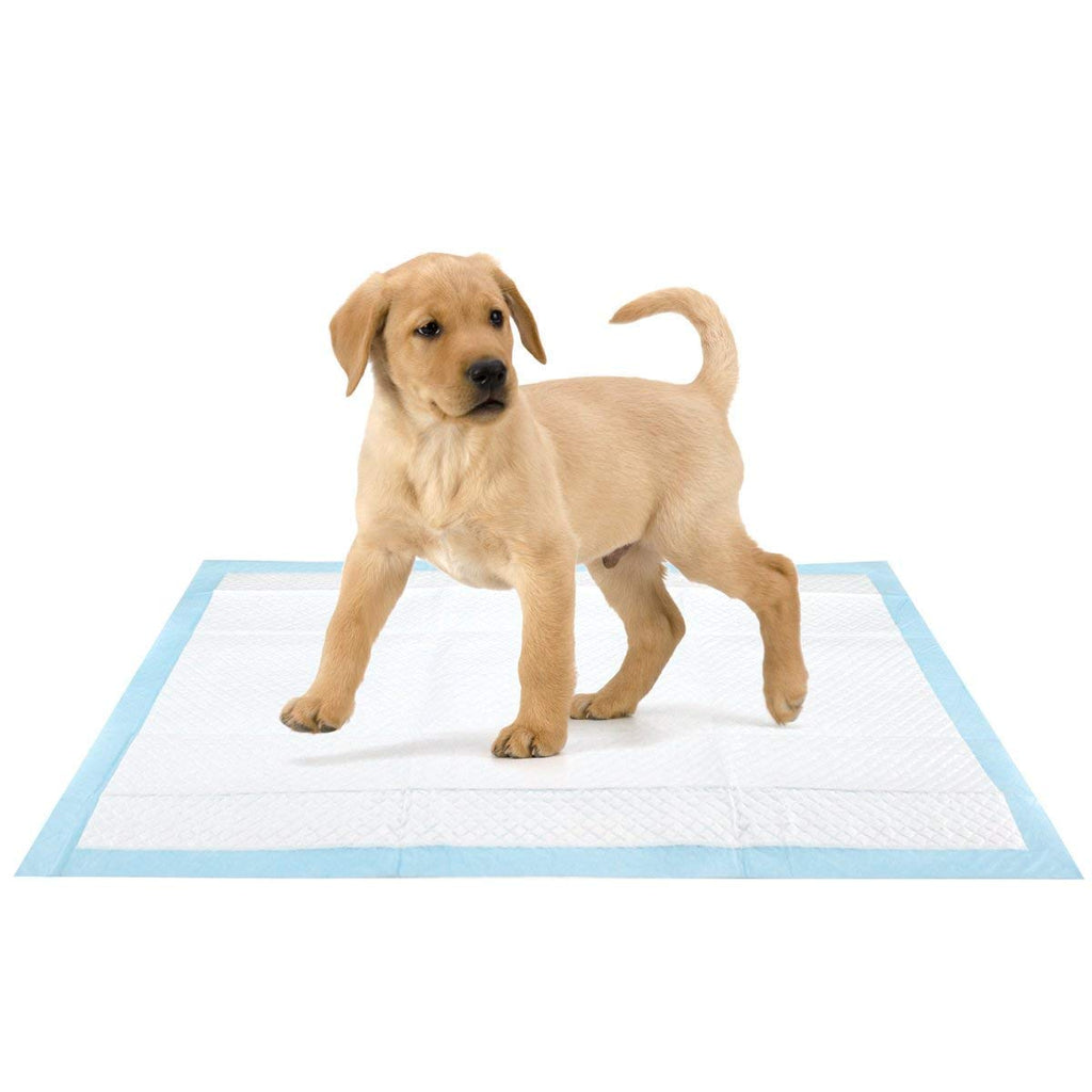 Pet Puppy Large Training Wee Pads/Mats Ultra Absorbent Anti Slip 56 x 56 cms 50 Pack Puppy Pads